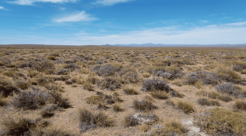 Patagonian steppe (Argentina). CREDIT: Juan José Gaitán