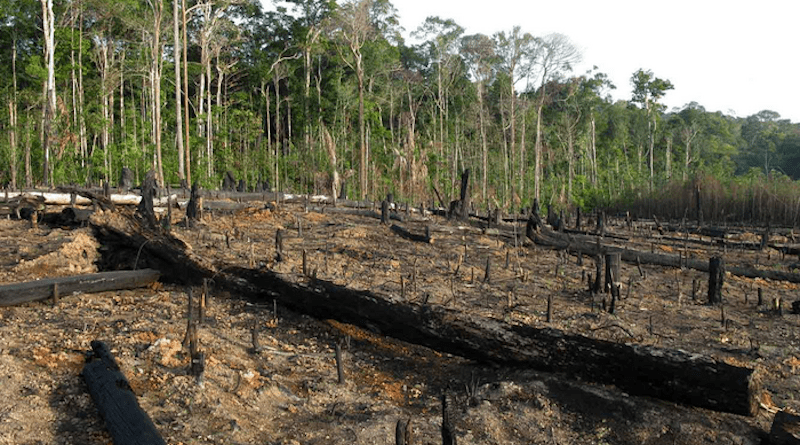 Land use changes such as deforestation and grassland conversion are not only the main cause of global biodiversity loss, they are also responsible for about a quarter of global greenhouse gas emissions. CREDIT: Adobe Stocks