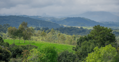Natural Nature Landscape Colombia Mountains Forest