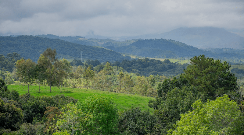 Natural Nature Landscape Colombia Mountains Forest