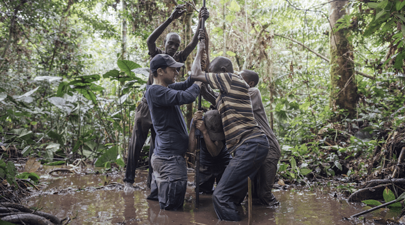 Congo basin peatlands expedition, from 2018 CREDIT: Greenpeace/Kevin McElvaney