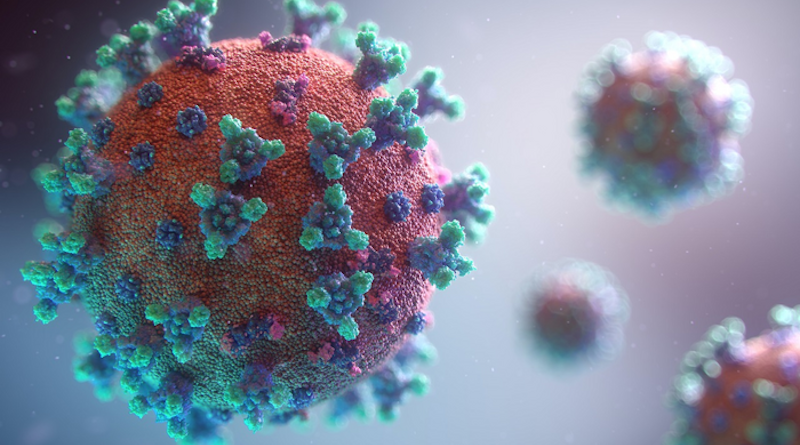 Monkeypox virus CREDIT: University of Missouri