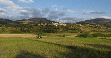 Current anthropized landscape of Madagascar CREDIT: MAGE Consortium