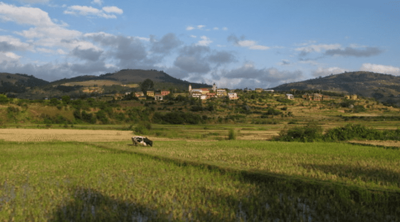 Current anthropized landscape of Madagascar CREDIT: MAGE Consortium