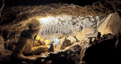 Speleothems are secondary mineral deposits in caves that occur mostly in the form of dripstones, such as stalagmites and stalactites. CREDIT: Research group of Sebastian Breitenbach