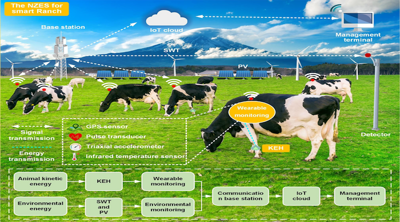 This diagram shows cow smart monitors and detector systems. CREDIT: Kong et al. - iScience