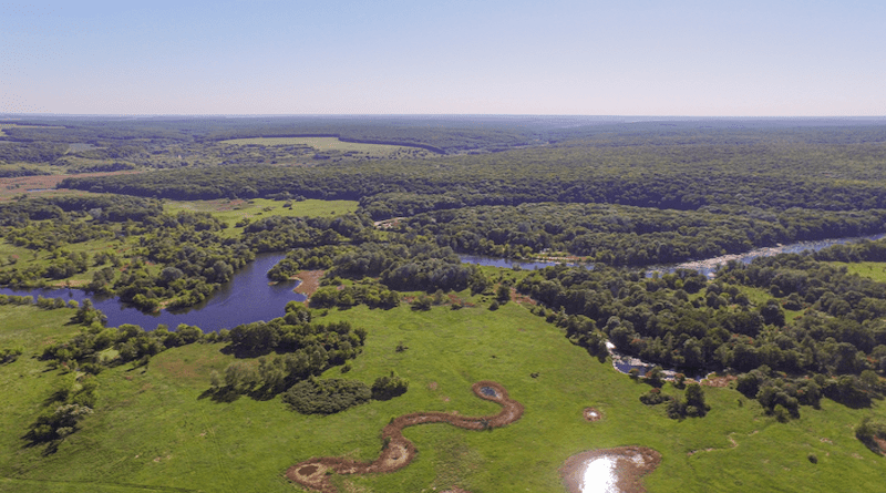 Old forests and riverine habitats in Eastern Ukraine CREDIT: Photo by Yehor Yatsiuk