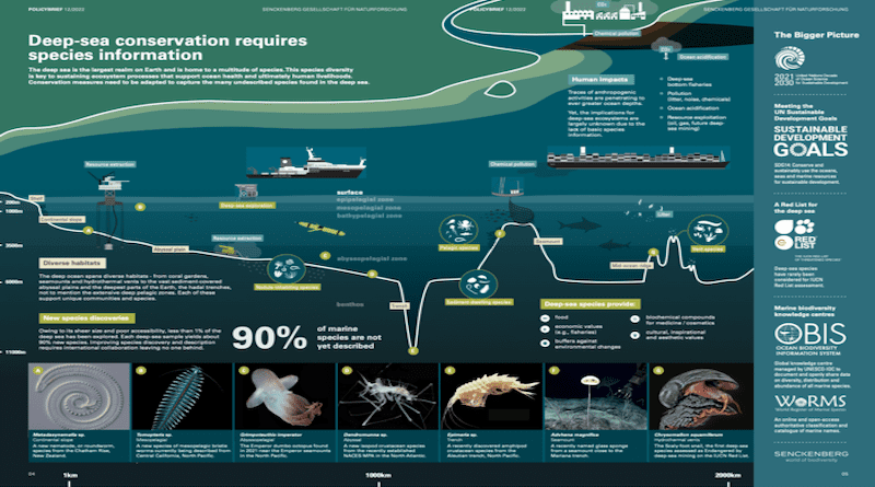 Without knowledge of deep sea species, effective conservation is impossible, leading international marine scientists warn in a new policy brief presented at the UN Biodiversity Conference (COP15) in Montreal. CREDIT: Senckenberg Research Institute and Natural History Museum