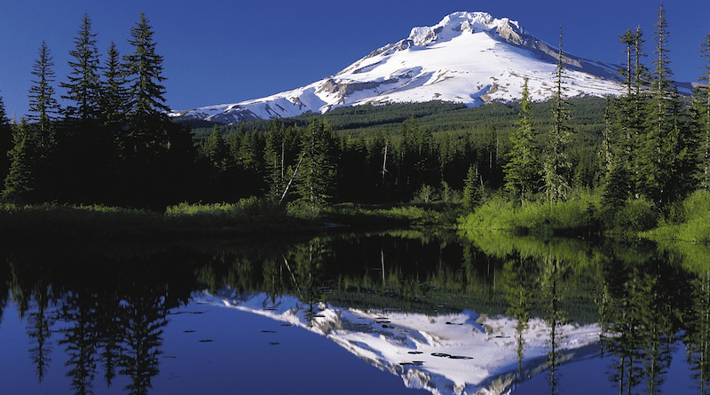 Forest Mount Hood Oregon Volcano Stratovolcano Usa