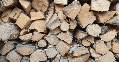 In nature when wood dries out from being soaked, it gives off an electrical charge. Researchers at KTH in Sweden showed that if the wood's composition is nanoengineered the right way, the phenomenon can be turned into a power source. (Photo: David Callahan)