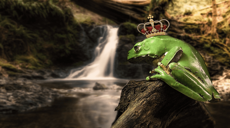 Nature Waters Wood Fairy Tale Frog Prince Prince