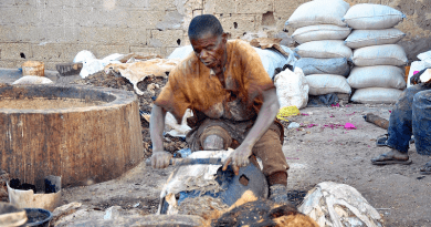A man processing raw skin into leather in Kano, Nigeria. Photo Credit: Muhdeen, Wikipedia Commons