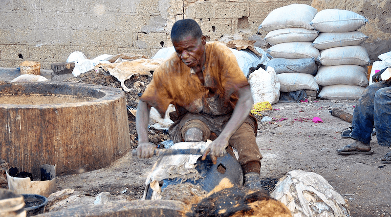 A man processing raw skin into leather in Kano, Nigeria. Photo Credit: Muhdeen, Wikipedia Commons