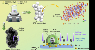Scheme of the Protective mechanisms of NTP-C CREDIT: Beijing Institute of Technology