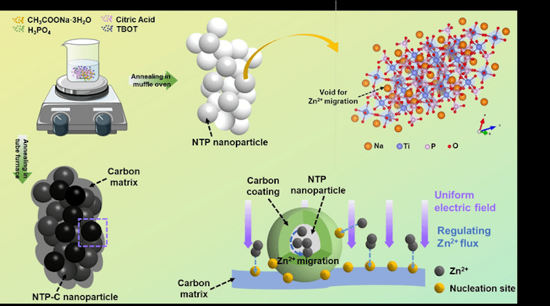 Scheme of the Protective mechanisms of NTP-C CREDIT: Beijing Institute of Technology