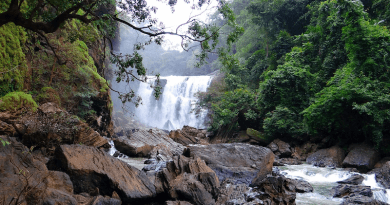 Sathodi Falls Water Fall Forest Kali River India