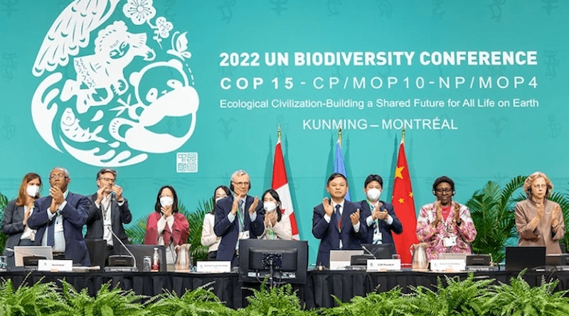 National negotiators inked a deal to protect nature in the early hours of 19 December in Montreal. Credit: Julian Haber/UN Biodiversity