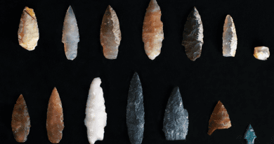 Stone projectile points discovered buried inside and outside of pit features at the Cooper’s Ferry site, Area B. CREDIT: Courtesy Loren Davis