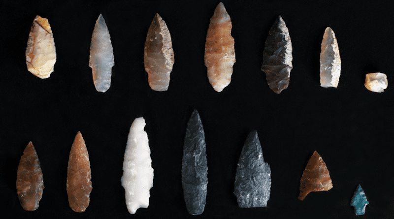 Stone projectile points discovered buried inside and outside of pit features at the Cooper’s Ferry site, Area B. CREDIT: Courtesy Loren Davis