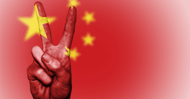 China Flag Banner Peace Hand