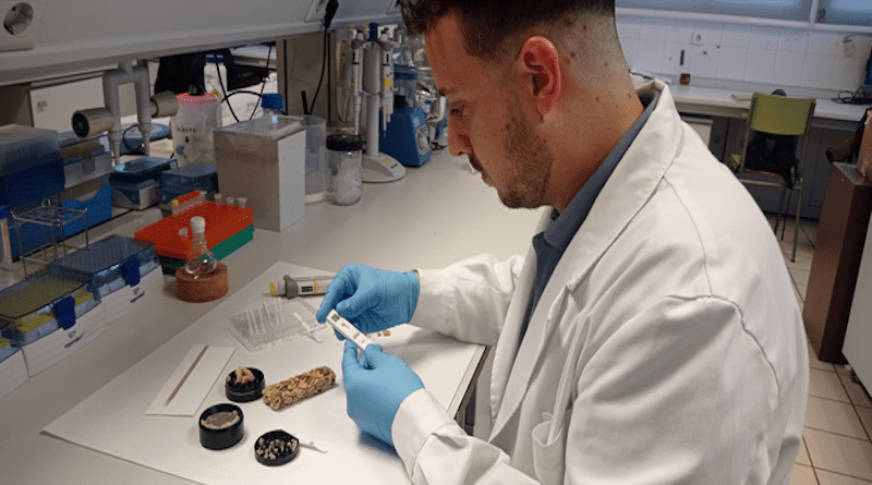 A reactive strip is developed to detect and quantify allergens in foods quickly and easily CREDIT: UPV