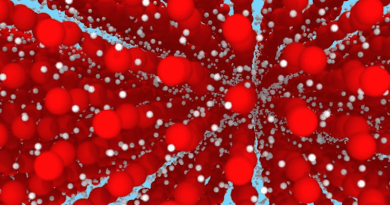 Image from simulation of ice XVIII. Oxygen ions (red) occupy a regular crystal lattice, while protons (white) diffuse like a liquid CREDIT: Maurice de Koning & Filipe Matusalém