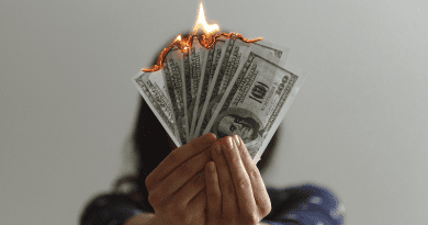 Money Cash Burning Burning Cash Dollar Bills Inflation
