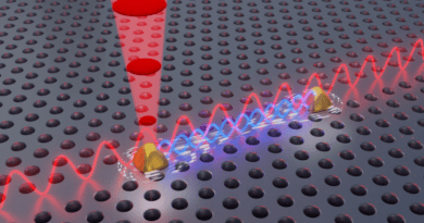 Illustration of a chip comprising two entangled quantum light sources CREDIT: Peter Lodahl