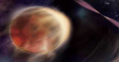 An orbiting star begins to eclipse its partner, a rapidly rotating, superdense stellar remnant called a pulsar, in this illustration. The pulsar emits multiwavelength beams of light that rotate in and out of view and produces outflows that heat the star’s facing side, blowing away material and eroding its partner. CREDIT: NASA/Sonoma State University, Aurore Simonnet