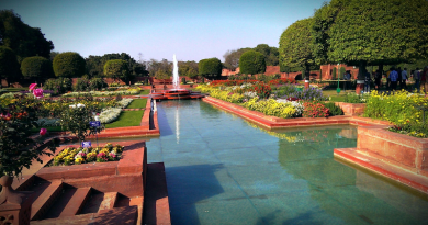 The Amrit Udyan, formerly Mughal Gardens, in Delhi, India. Photo Credit: India1277, Wikipedia Commons