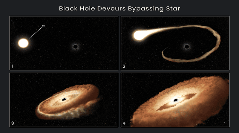 This sequence of artist's illustrations shows how a black hole can devour a bypassing star. 1. A normal star passes near a supermassive black hole in the center of a galaxy. 2. The star's outer gasses are pulled into the black hole's gravitational field. 3. The star is shredded as tidal forces pull it apart. 4. The stellar remnants are pulled into a donut-shaped ring around the black hole, and will eventually fall into the black hole, unleashing a tremendous amount of light and high-energy radiation. CREDIT: NASA, ESA, Leah Hustak (STScI)