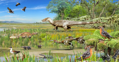 time-averaged artist’s interpretation of Patagonia during the Late Cretaceous. The animals pictured include non-avian dinosaurs, birds and other vertebrates that have been discovered in the fossil record of the region. Their specific identifications are as follows: ornithurine birds (flying and walking on the ground), Stegouros (armored dinosaur), Orretherium (mammal), Yaminuechelys (turtle), a megaraptorid (large carnivore), unenlagiines (pair of carnivores), and enantiornithine birds (in foreground) CREDIT: Mauricio Alvarez and Gabriel Diaz