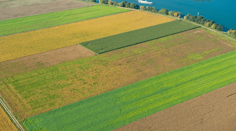 Aerial view of crops around Chalon-sur-Saône (Region of Bourgogne, France) - © INRAE - Christian SLAGMULDER