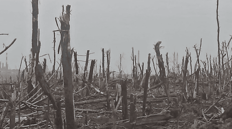 No man's land in the outskirts of Bakhmut, Ukraine. Photo Credit: Mil.gov.ua, Wikipedia Commons