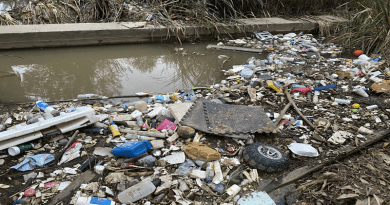 Plastic waste in a creek bed at Fairmount Park in Riverside, Calif. David Danelski/UCR CREDIT: Photo by David Danelski/UCR