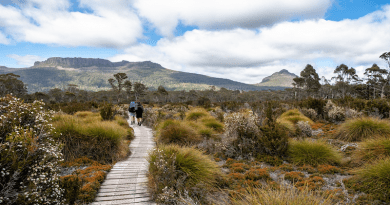 Australia Overland Track Tasmania Nature Wilderness Landscape