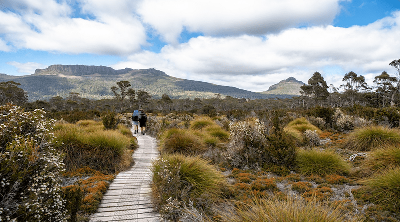 Australia Overland Track Tasmania Nature Wilderness Landscape