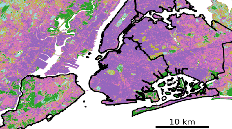 Researchers studied carbon uptake by vegetation in New York City and parts of the surrounding area. Greens show areas of contiguous forest, marsh or grassland. The rest is developed, with purple areas at highest intensity, but a surprising amount of vegetation is found there, too, along sidewalks, in backyards and other small features. CREDIT: Wei et al., Environmental Research Letters