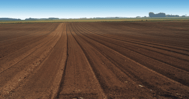 Crop Field in Picardie (France) CREDIT: INRAE - Jean WEBER