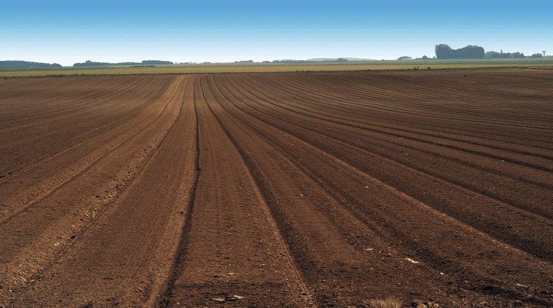 Crop Field in Picardie (France) CREDIT: INRAE - Jean WEBER