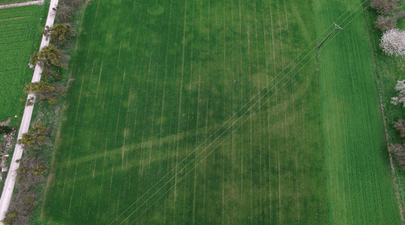 "Tractor Tracks". The excavations in Bad Ems were initiated by J. Eigenbrod, who spotted suspicious traces in the field from his high seat. The traces constitute changes in the vegetation, indicating ground interventions, in this case the ditches of the Roman camp on the "Ehrlich" CREDIT: (Photo: H.-J. du Roi)