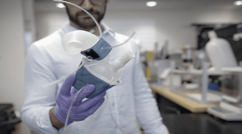 Custom, 3D-printed heart replicas are patient-specific and could help clinicians zero in on the best implant for an individual. CREDIT: Melanie Gonick, MIT