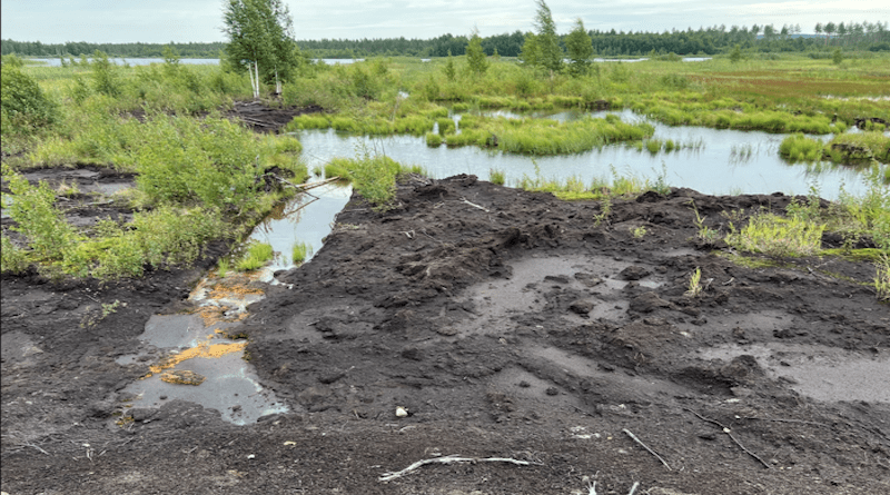 A peatland site at Linnunsuo in North Karelia, Finland. Legacy peat mining has degraded the wetland, as visible in the degraded soil in front. CREDIT: Rob Jackson