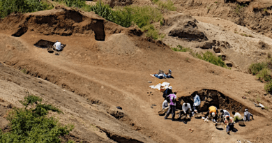 Along the shores of Africa’s Lake Victoria in Kenya roughly 2.9 million years ago, early human ancestors used some of the oldest stone tools ever found to butcher hippos and pound plant material, according to new research led by an international team of scientists. CREDIT: J.S. Oliver, Homa Peninsula Paleoanthropology Project