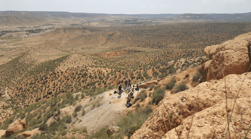 Northern margin of the Ain Beni Mathar Basin, near the locality of Guefaït. Paleontological excavation of Guefaït-4.2/Josep M. Parés