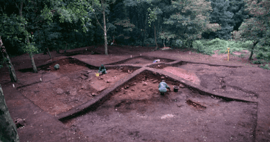 Viking burial mound at Heath Wood, Derbyshire, UK, being excavated. CREDIT: Julian Richards, University of York.