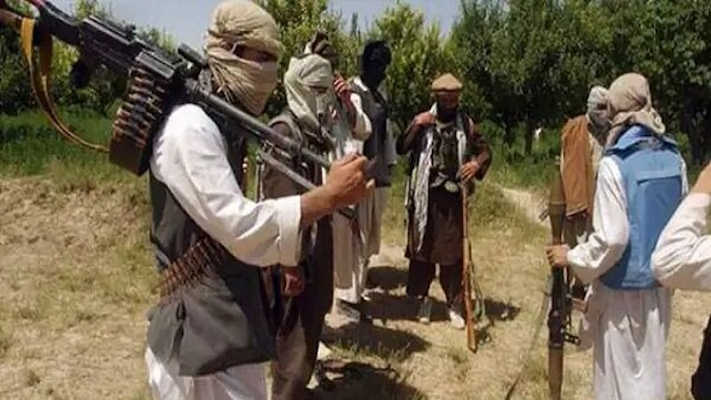 Members of Pakistan Taliban 'Tehreek-e-Taliban Pakistan'. Photo Credit: Tehran Times