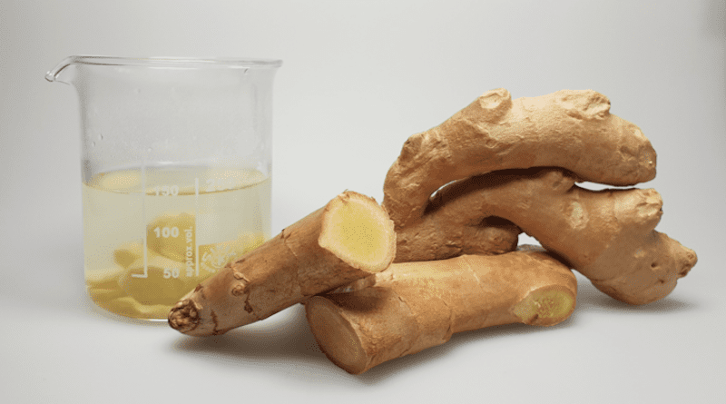 Whether as a medicinal plant or foodstuff, ginger is also becoming increasingly popular in Germany CREDIT Photo: Gisela Olias/Gaby Andersen/Leibniz-LSB@TUM