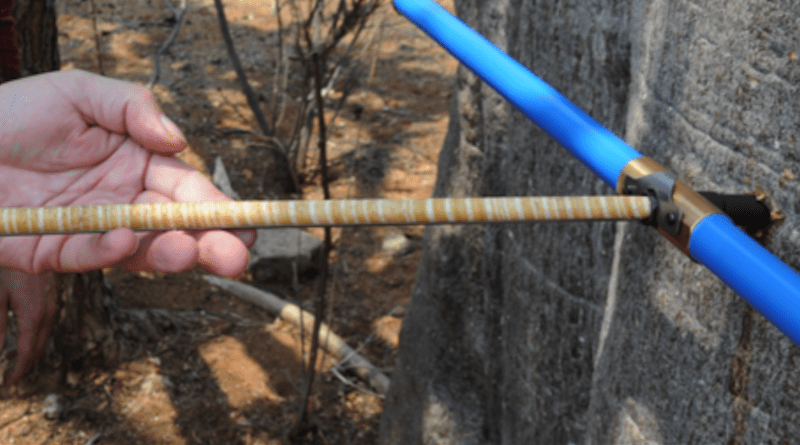 Principle of minimally invasive removal of a wood sample from a living tree trunk using an increment borer CREDIT: G. Helle / GFZ