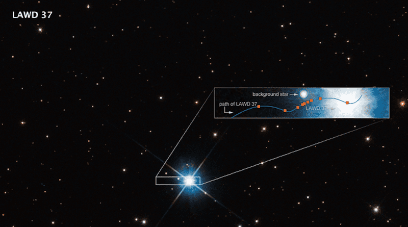 This graphic shows how microlensing was used to measure the mass of a white dwarf star. The dwarf, called LAWD 37, is a burned-out star in the centre of this Hubble Space Telescope image. Though its nuclear fusion furnace has shut down, trapped heat is sizzling on the surface at 100,000 degrees C, causing the stellar remnant to glow fiercely. The inset box plots how the dwarf passed in front of a background star in 2019. The wavy blue line traces the dwarf's apparent motion across the sky as seen from Earth. Though the dwarf is following a straight trajectory, the motion of Earth orbiting the Sun imparts an apparent sinusoidal offset due to parallax. (The star is only 15 light-years away. Therefore, it is moving at a faster rate against the stellar background.) As it passed by the fainter background star, the dwarf's gravitation field warped space (as Einstein's theory of general relativity predicted a century ago). And this deflection was precisely measured by Hubble's extraordinary resolution. The amount of deflection yields a mass for the white dwarf of 56 percent our Sun's mass and provides insights into theories of the structure and composition of white dwarfs. This is the first time astronomers directly measured the mass of a single, isolated star other than our Sun, thanks to a "funhouse mirror" trick of nature. CREDIT SCIENCE: NASA, ESA, Peter McGill (UC Santa Cruz, IoA), Kailash Sahu (STScI) IMAGE PROCESSING: Joseph DePasquale (STScI)